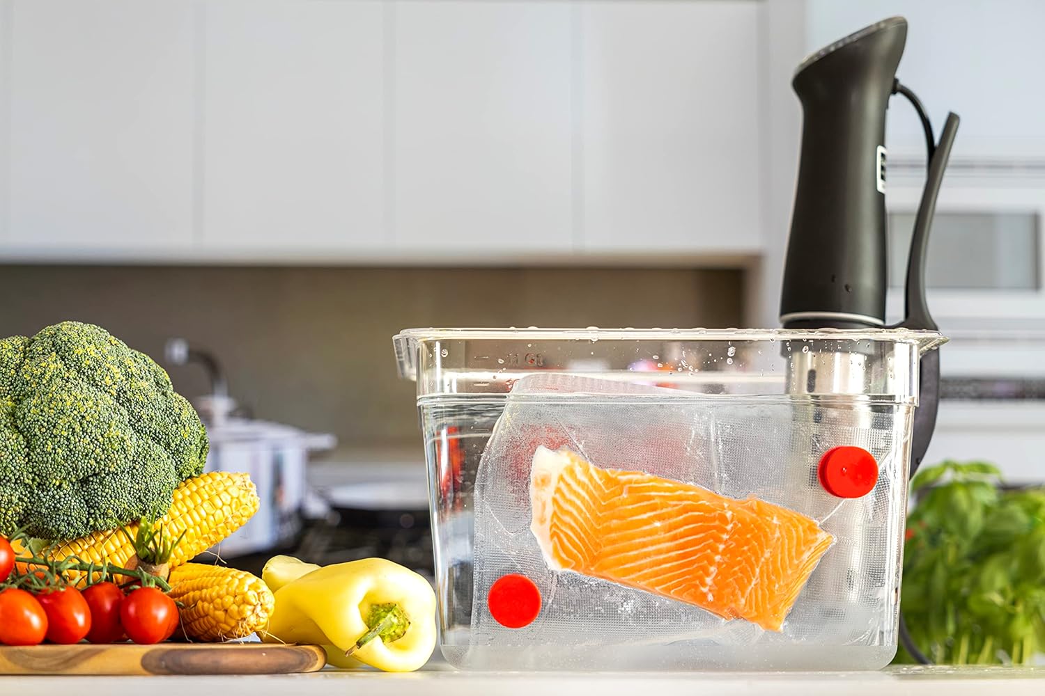 Sous Vide Magnets Set of 8 - F - đánh giá và giá Sous Vide Immersion